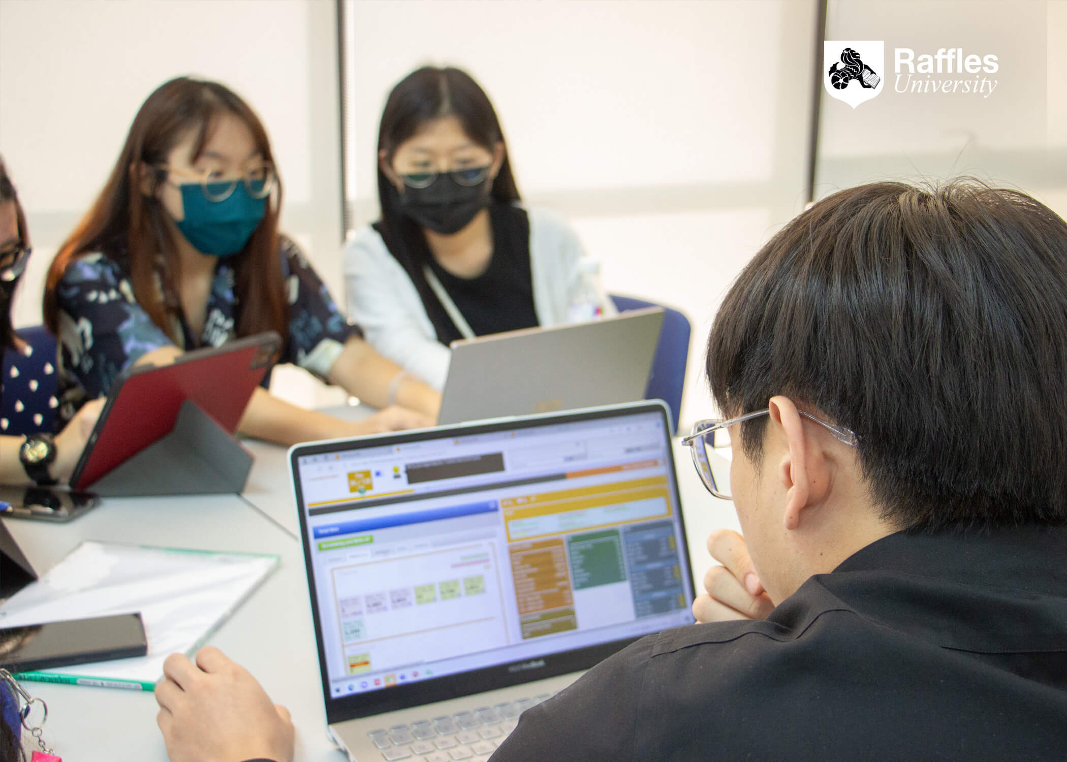 Professor Raffles Centre for Postgraduate Studies - Raffles University