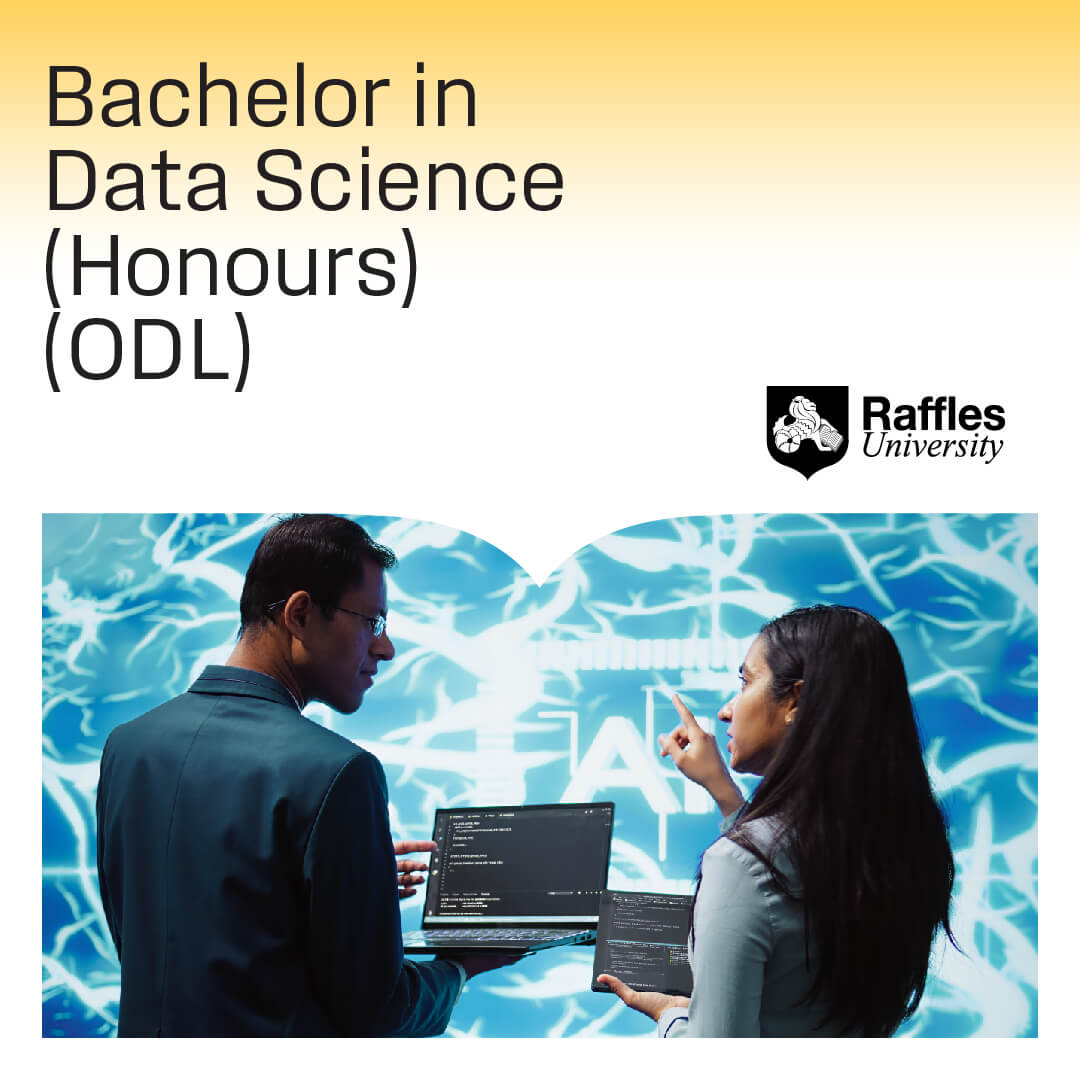 Raffles Programme Programme - Raffles University